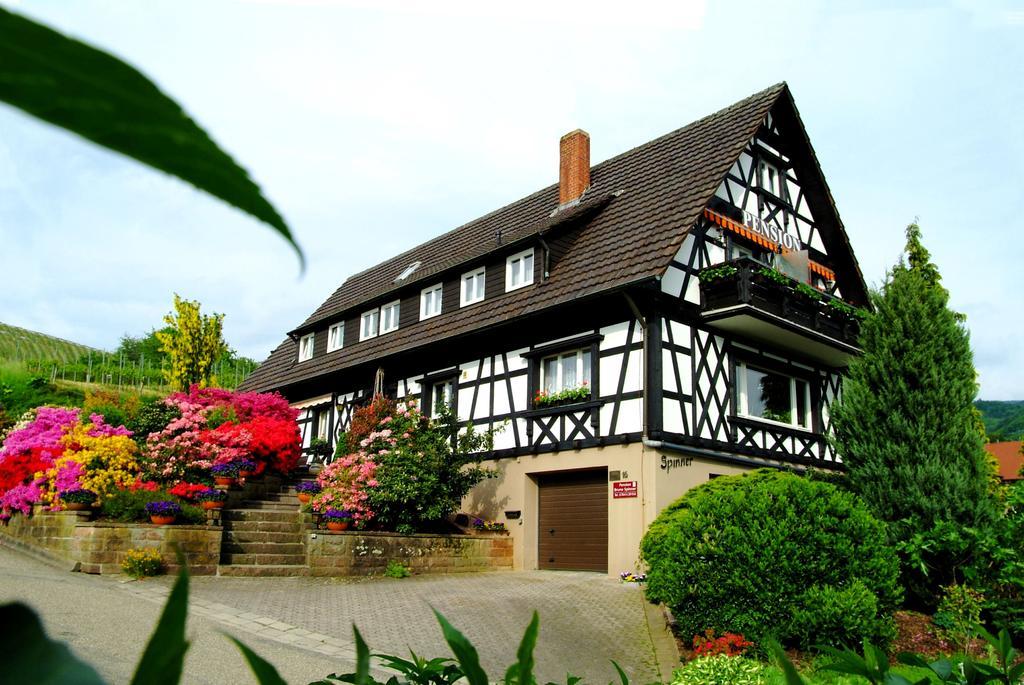 Pension Am Weinberg Sasbachwalden Exterior foto